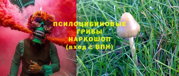 a pvp Алзамай