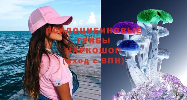 МДПВ Абаза