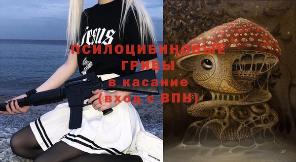 МДПВ Абаза